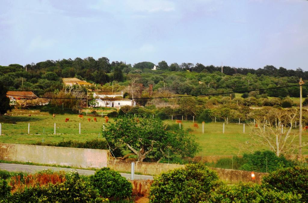 Casas Do Pomar Villa Lagos Habitación foto